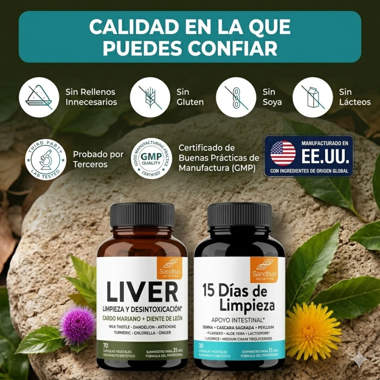 Liver Cleanse Hígado